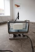 KROPSLOMMER, 2020. Installation view, foto: Olga Benedicte