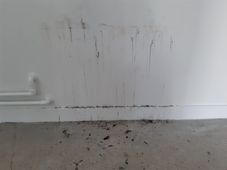 Kuldefald, 2019. Malwina Migacz og Laurits Nymand Svendsen