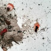 Kuldefald, 2019. Malwina Migacz og Laurits Nymand Svendsen