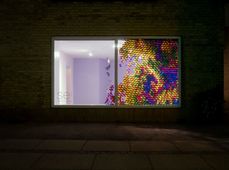 Fraser Gray, BERMUDA_CROP, Window film.