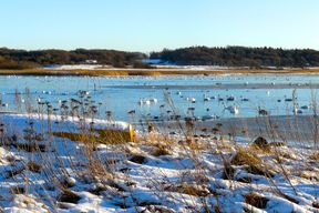 Sebbersund-025