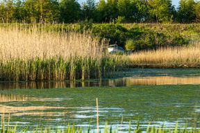 Sebbersund-062