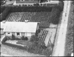 Bjerglyvej 14 - 1960