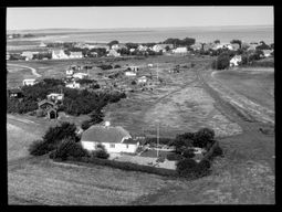 Navet 46