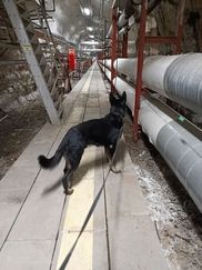 IMG_20250204_225613_659