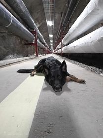 IMG_20250220_204358_049
