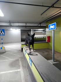 IMG_20250302_205532_529