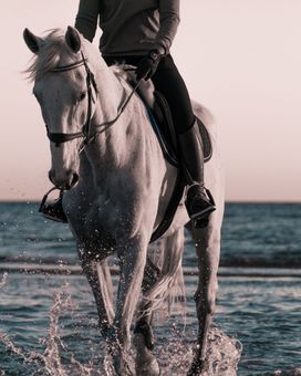unsplash_qaF4IhTuZv0