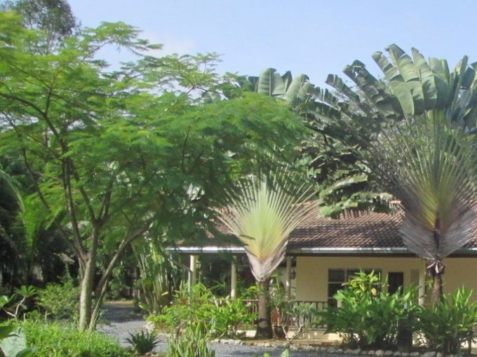 The Ingrid House.