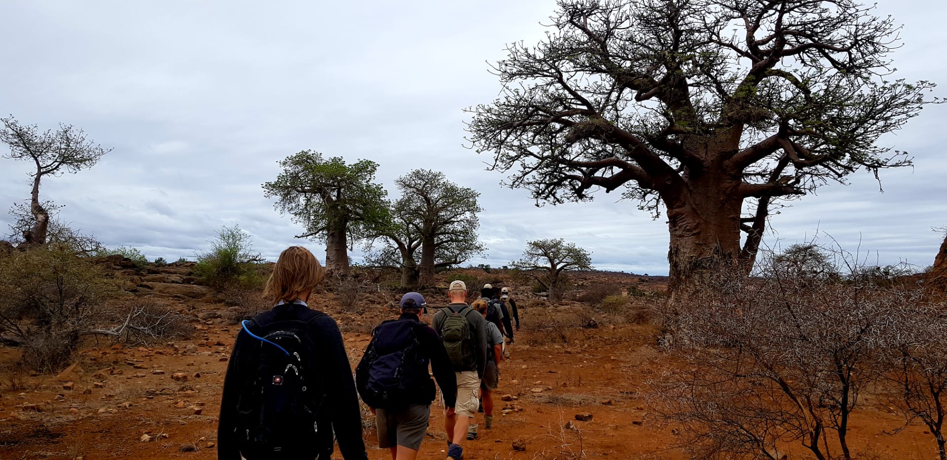Walking Safari in South Africa
