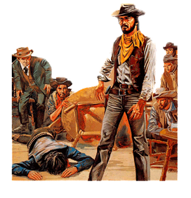 Cowboy Bøger