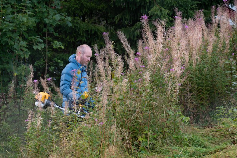 2022_Dugnad_september_14_slideshow-17 2022_Dugnad_september_14_slideshow-17