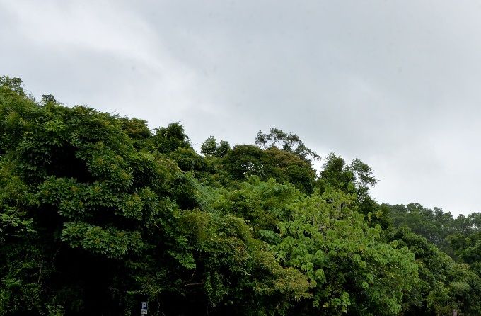 第38屆麥徑遠足大合照 2019