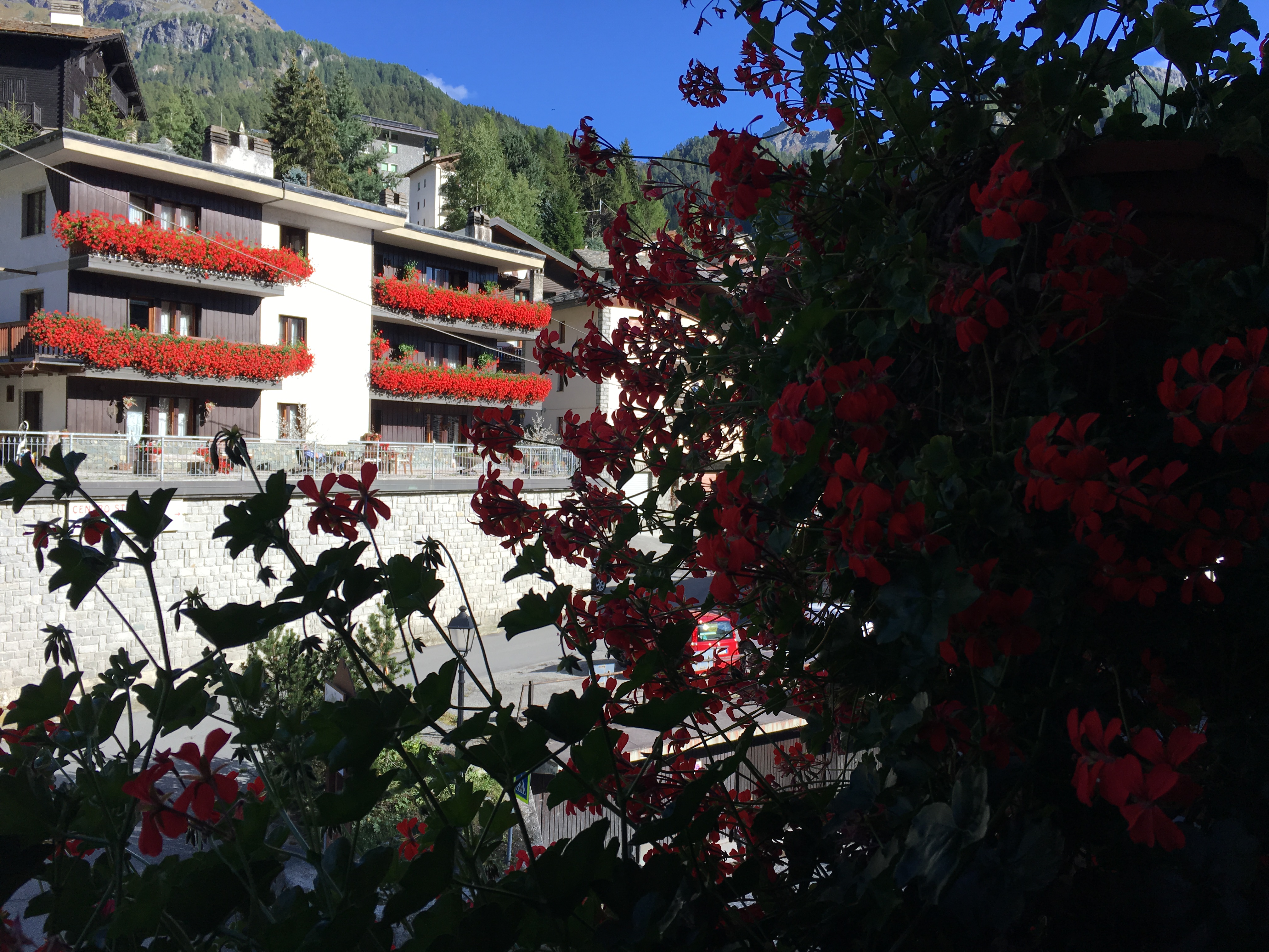 RESIDENCE MIRELLADUE - PONTE DI LEGNO