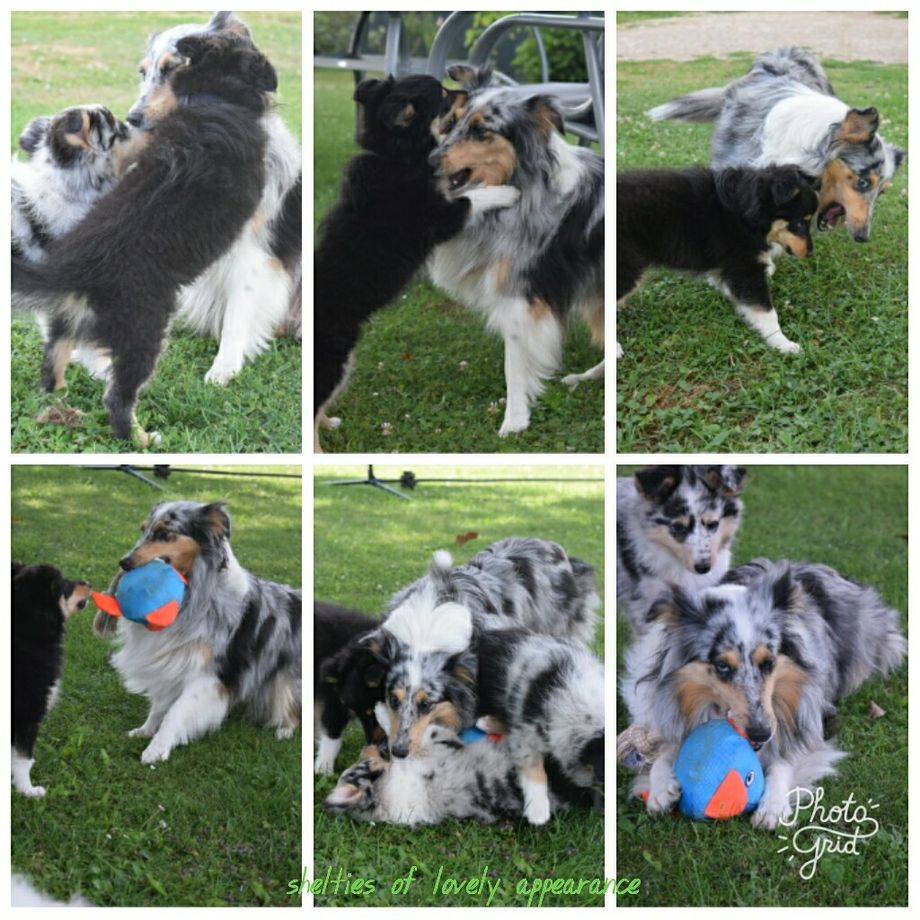 SPIELSTUNDE MIT MAMA ROSE