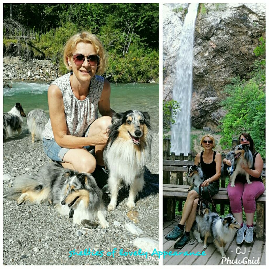 28.7.20
A blue Star of lovely Appearance kommt aus Deutschland zu Besuch. Wir freuen uns riesig, dass er mit seinem Frauchen die weite Fahrt gemacht hat und einige Tage mit uns verbringt😚
Links im Bild: Mama Rose