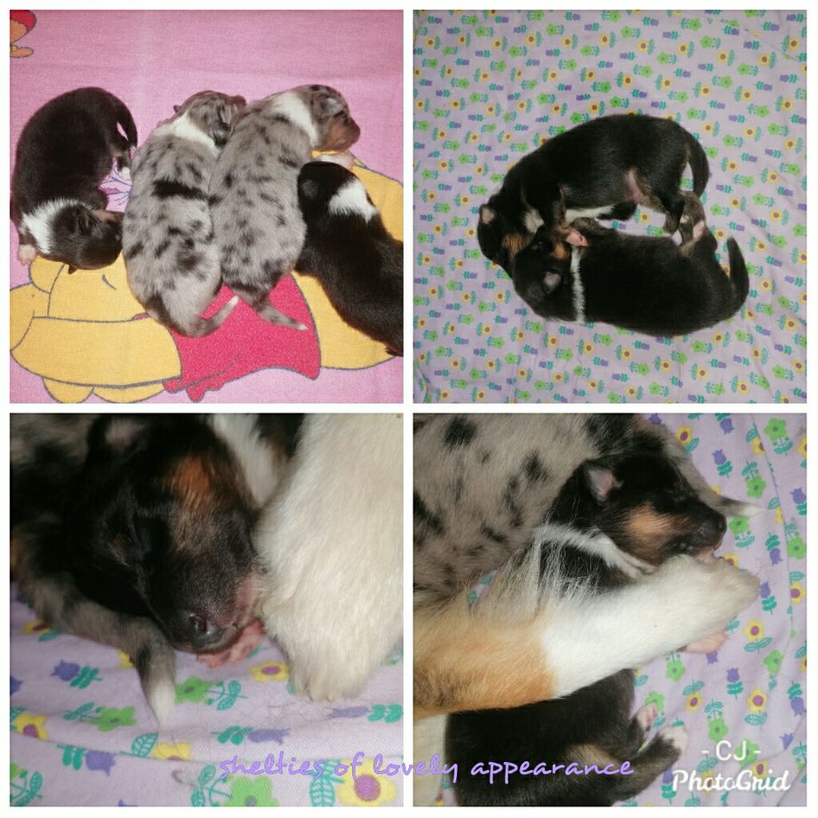 Die Babies an Tag 7