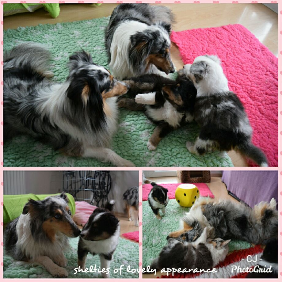 Spielstunde mit Mama Donatella und Oma Rose