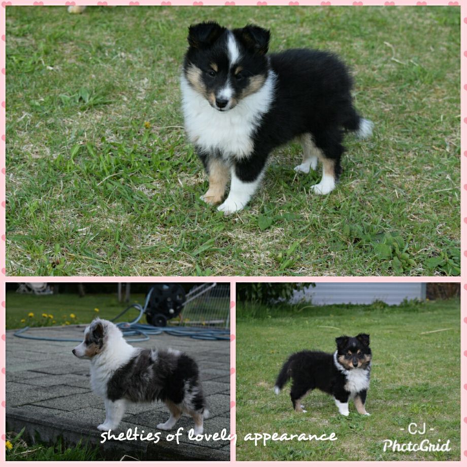 Die G'oodies sind 8 Wochen alt😍