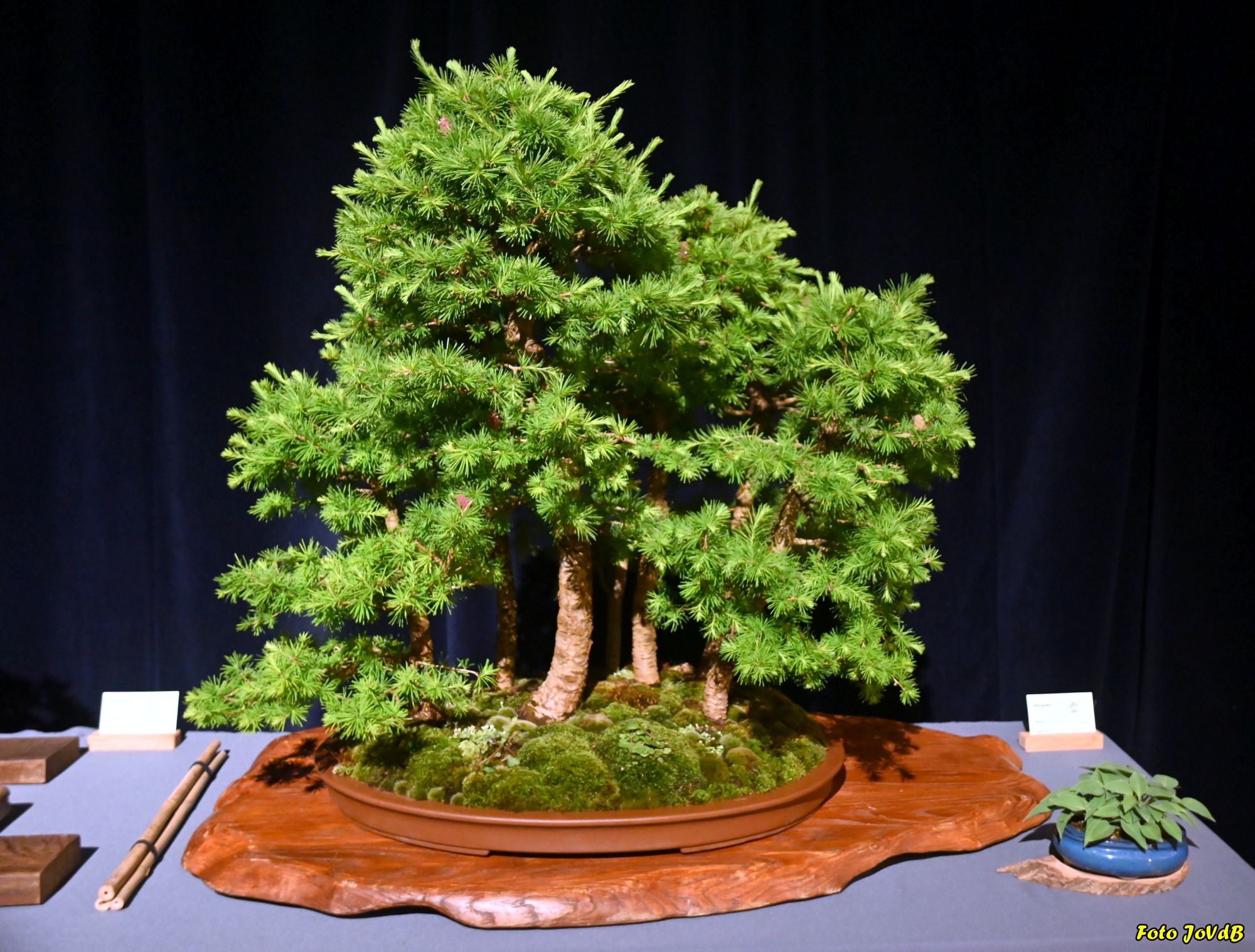 It uslubidagi fotosuratlardagi yalangoch ayollar