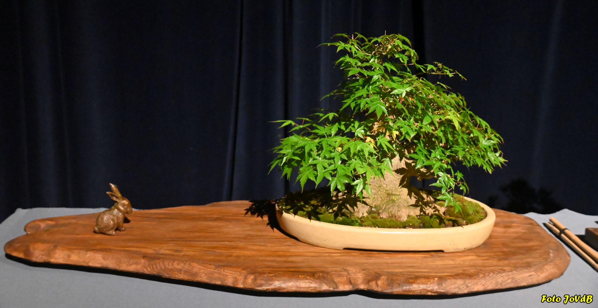 Burun orniga sikli ayol haqida film