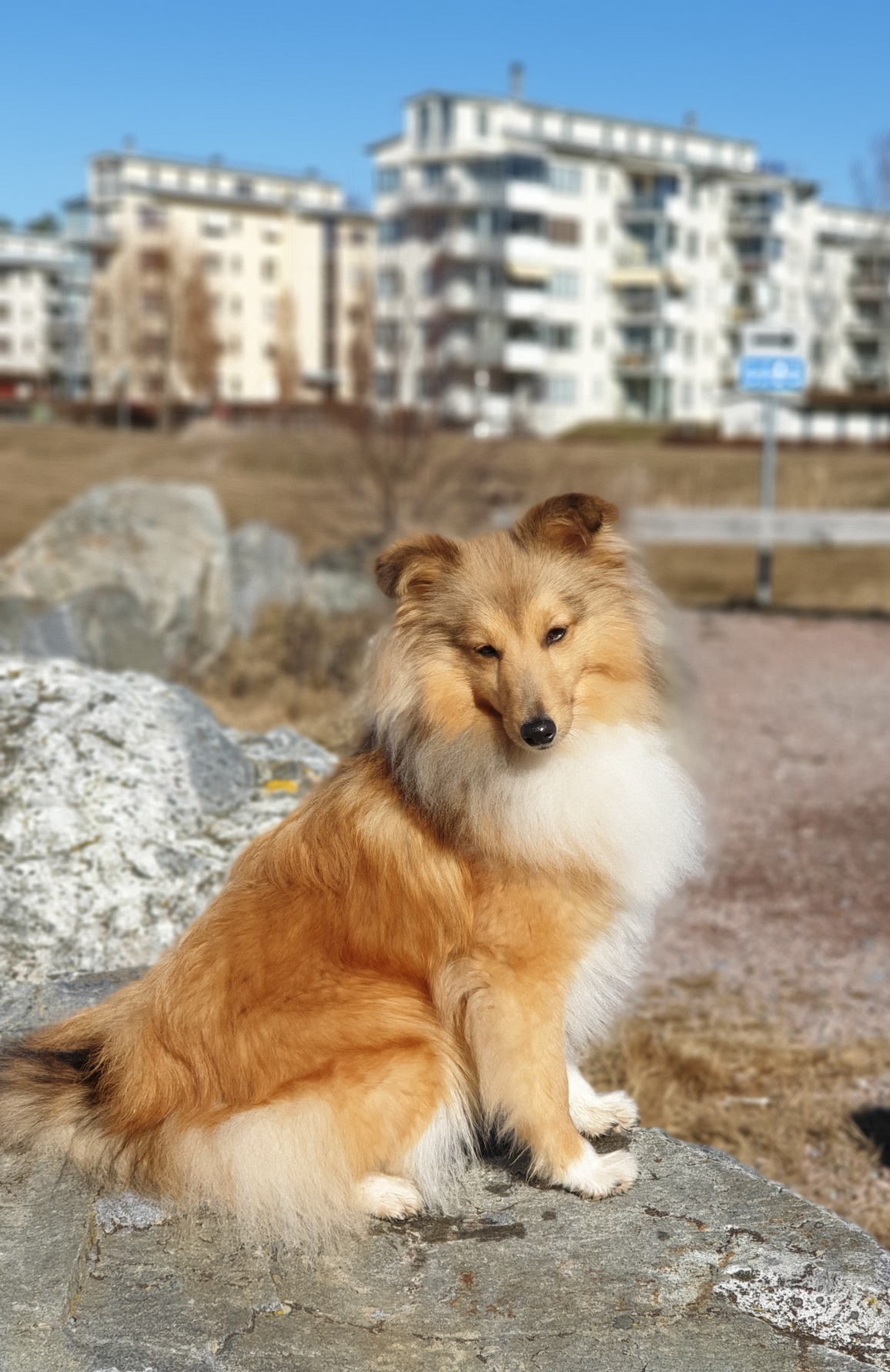 1 år, mars 2019