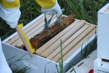 using the hive tools