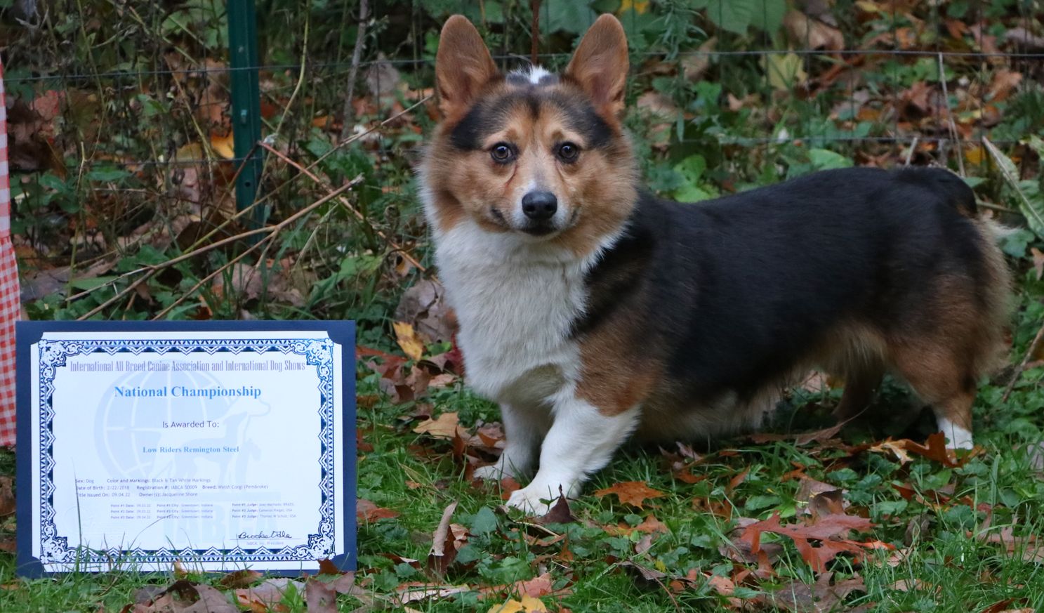 Remi with his IABCA National Championship