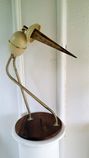 Stork