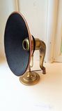 Analog speaker