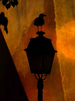 Night Watch