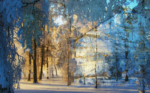 Blue morning