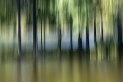 Sommerskog