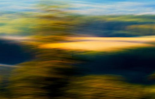 Autumn fields