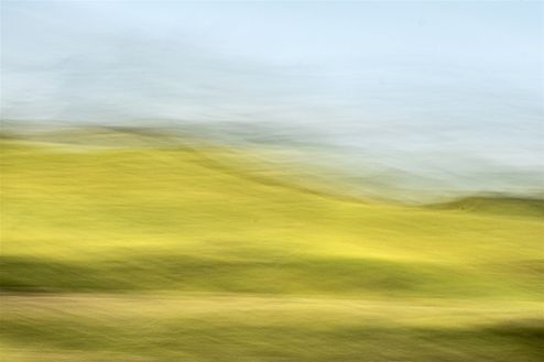 FIelds of gold