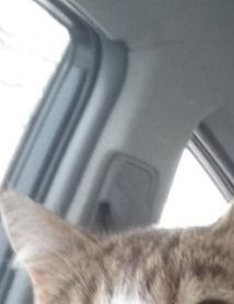 Jag och min katt Hanna. 😉