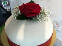 IMG_2741