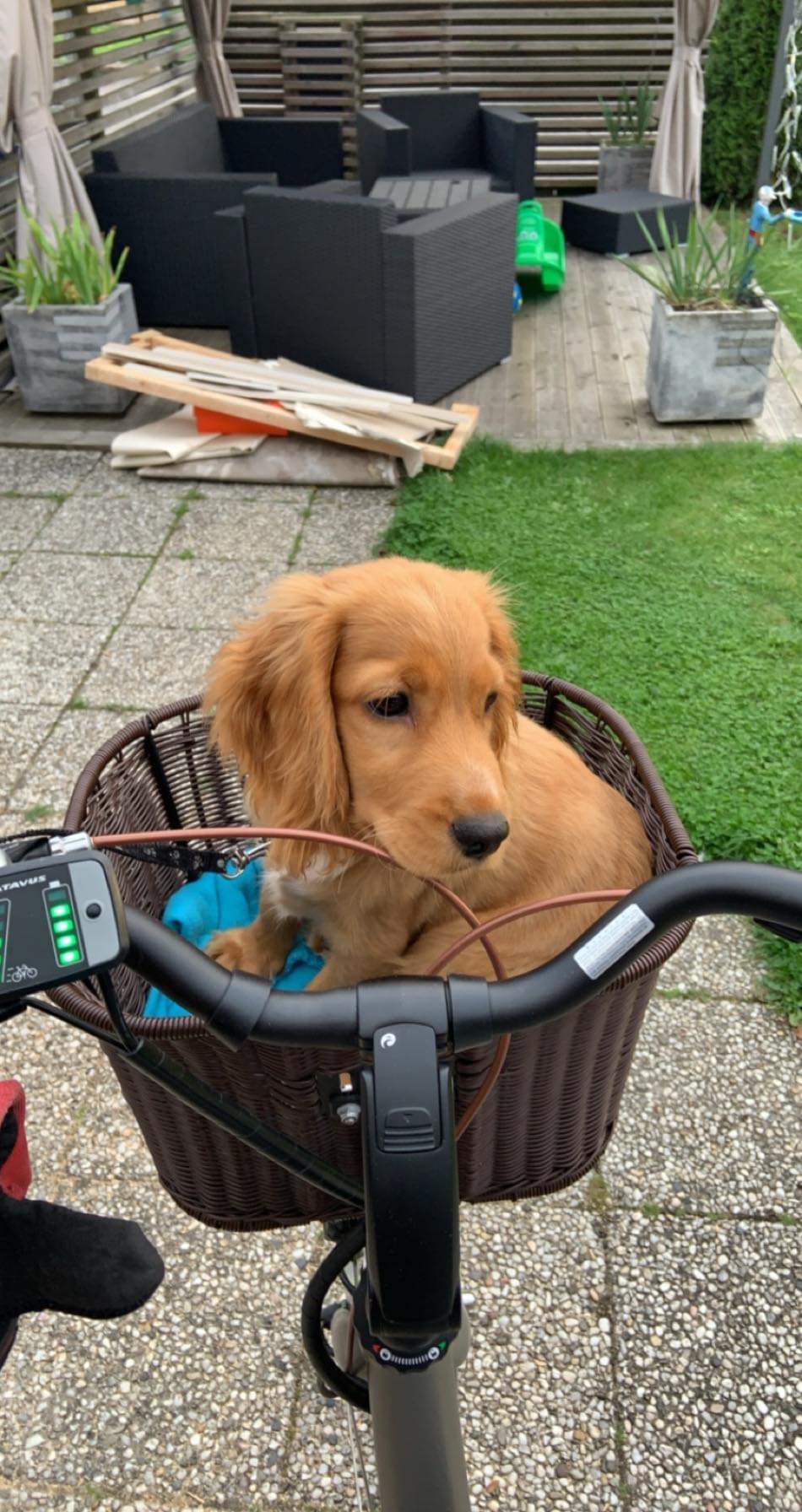 received_820411255394918