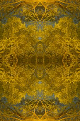10b, 2018