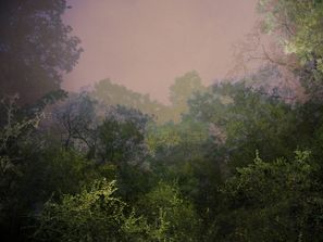 Untitled 6b_d