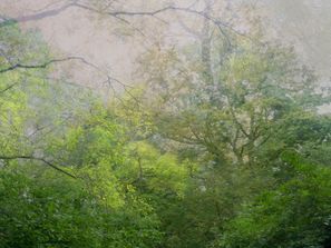 Untitled 9c_b