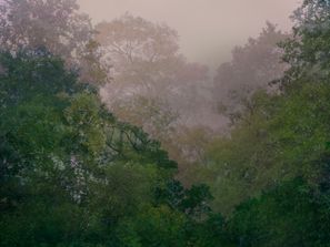 Untitled 12d_c