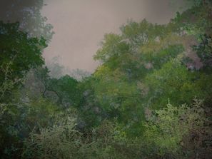 Untitled 45a_