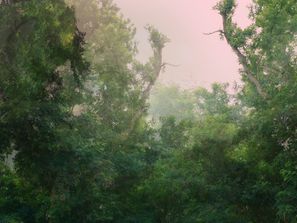 Untitled 48b