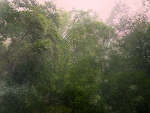 Untitled 53b