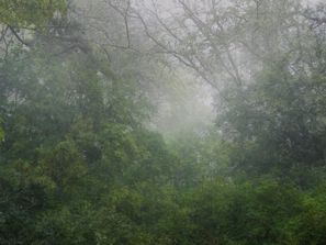 Untitled 54b