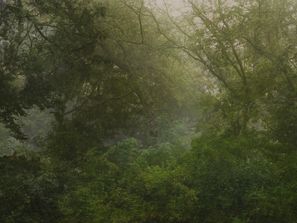 Untitled 59e