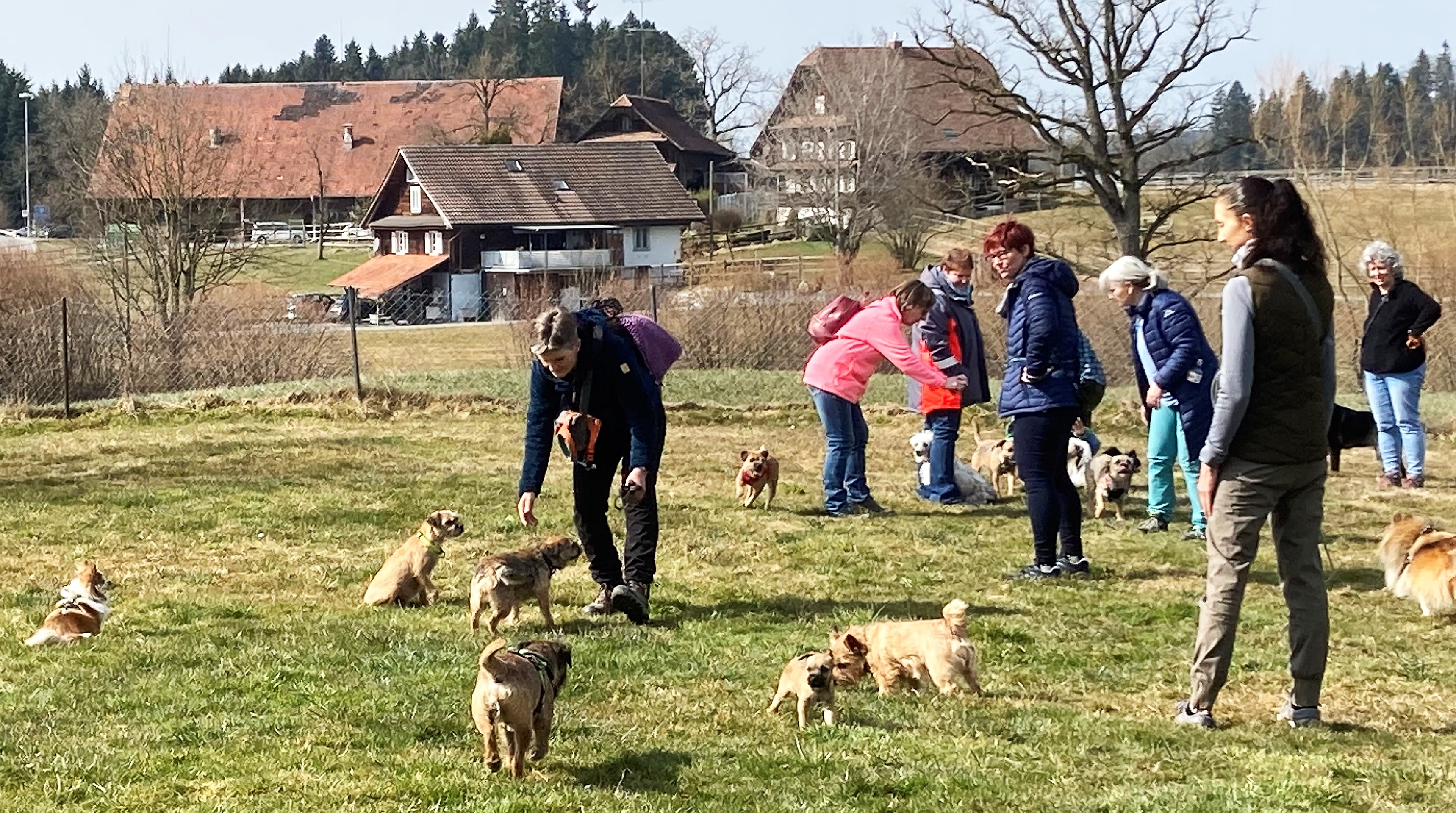 IMG_4367