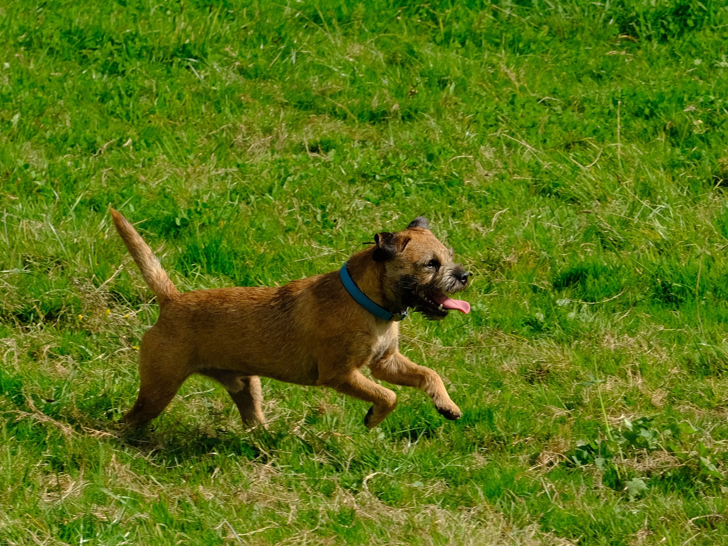 Spielgruppe September 2023_07