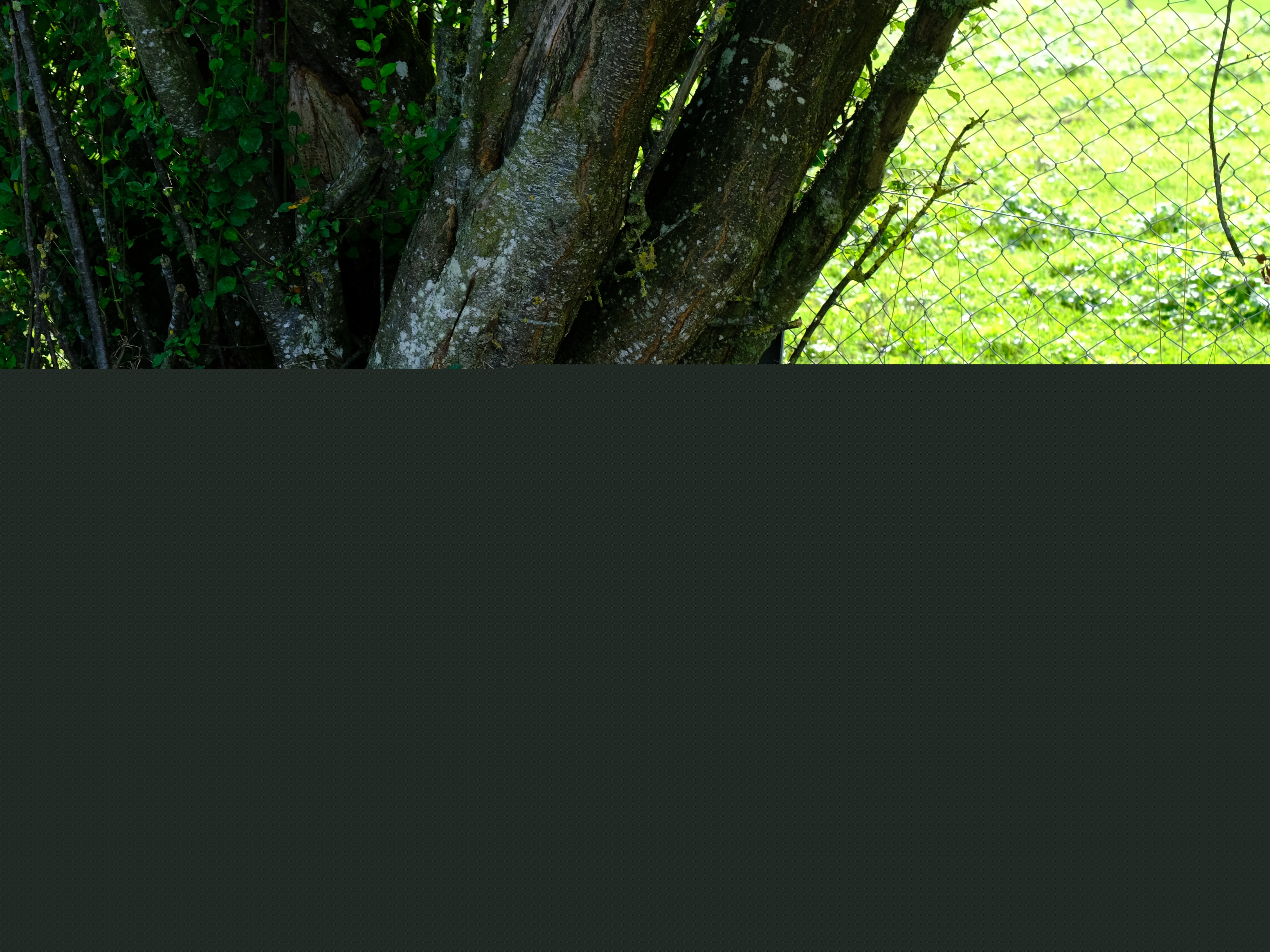 Spielgruppe September 2023_08